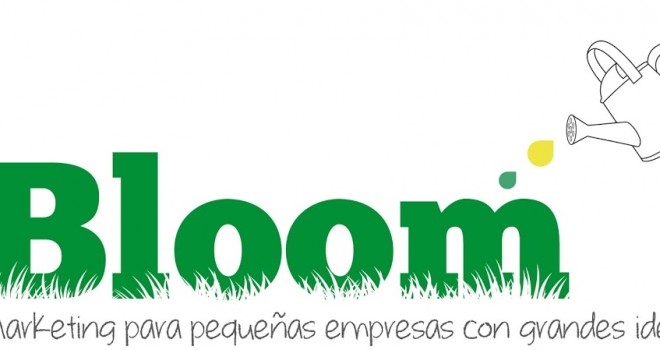 Bloom Marketing {Marketing para pequeñas empresas, con grandes ideas}